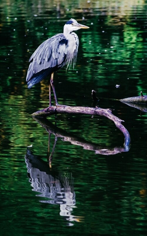Journal: Grey Heron Water Bird On A Log In A Lake (Paperback)