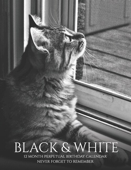 Perpetual Birthday Calendar: Black and White Photography Cat Calendar, Birthday Book & Anniversary Calendar 8.5x11 Special Event Reminder Book Fami (Paperback)