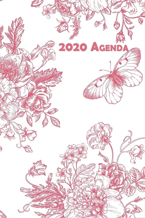 2020 Agenda: 6x9 Daily and Weekly Agenda Planner and Organizer V7 (Paperback)