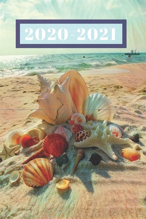 Sunny Beach Lovers Peach Sea Shells on the Shore Dated Weekly 2 year Calendar Planner: Cute Small Pocket/Purse Size To-Do Lists, Tasks, Notes, Appoin (Paperback)