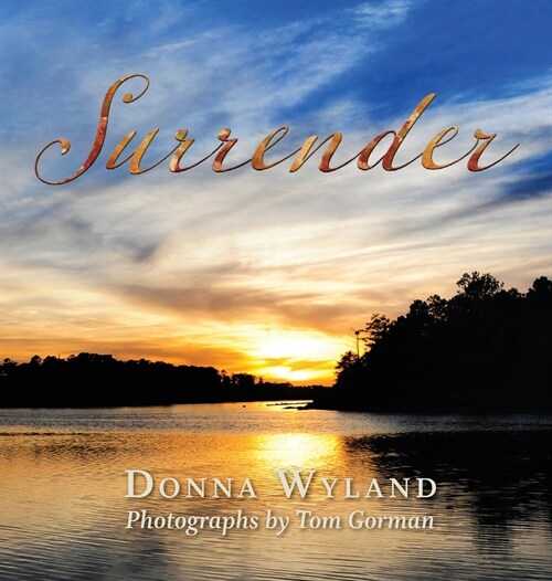 Surrender (Hardcover)