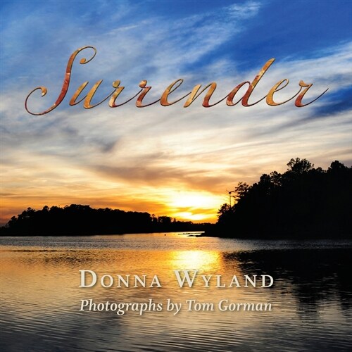 Surrender (Paperback)