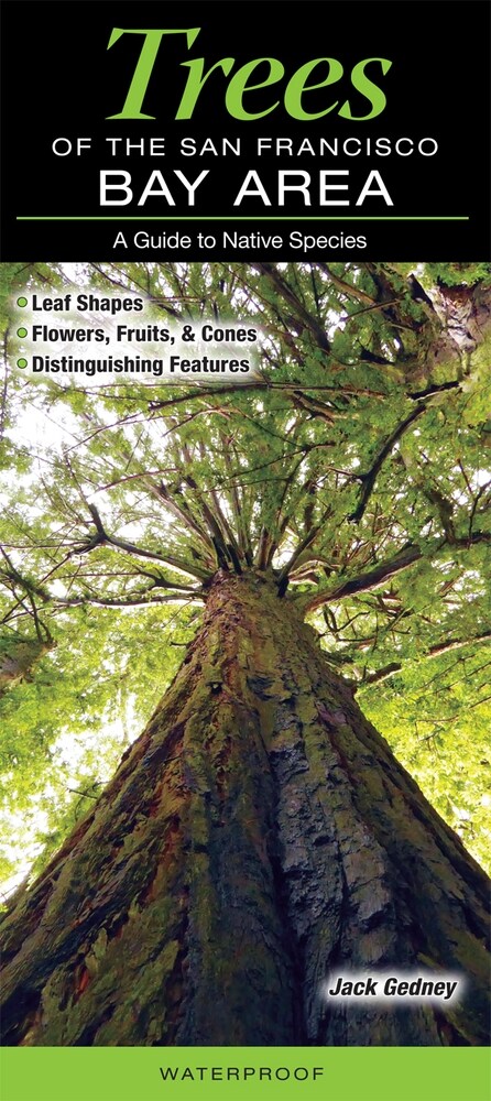 Trees of the San Francisco Bay Area: A Guides to Common Native Species (Other)