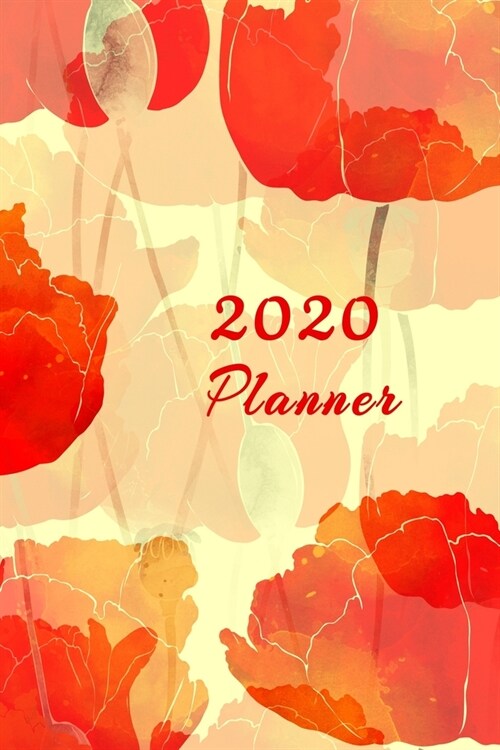 2020 Planner: 6x9 Daily and Weekly Agenda Planner and Organizer V4 (Paperback)