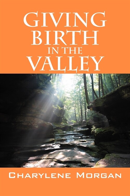 Giving Birth in the Valley (Paperback)