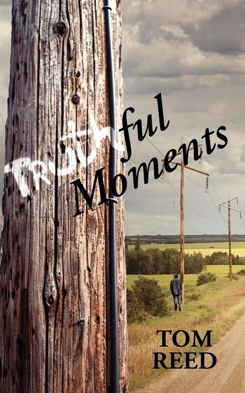 Truthful Moments (Paperback)
