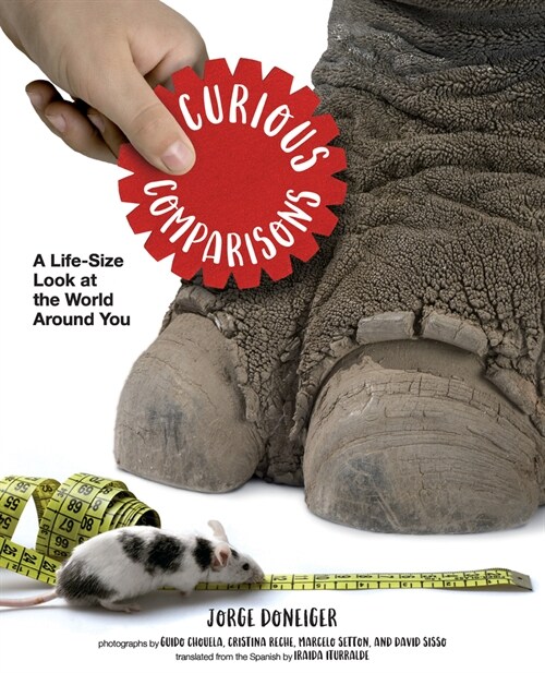 Curious Comparisons: A Life-Size Look at the World Around You (Hardcover)