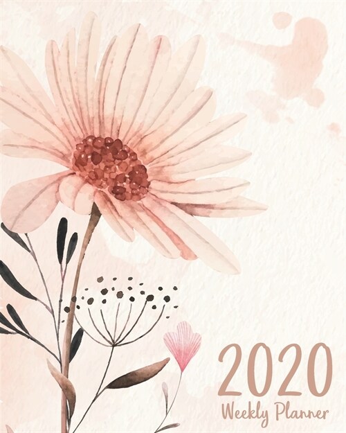 2020 Weekly Planner: Daily, Weekly and Monthly 2020 Academic Planner & Organizer For Women (Paperback)