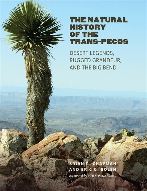 The Natural History of the Trans-Pecos: Desert Legends, Rugged Grandeur, and the Big Bend (Paperback)