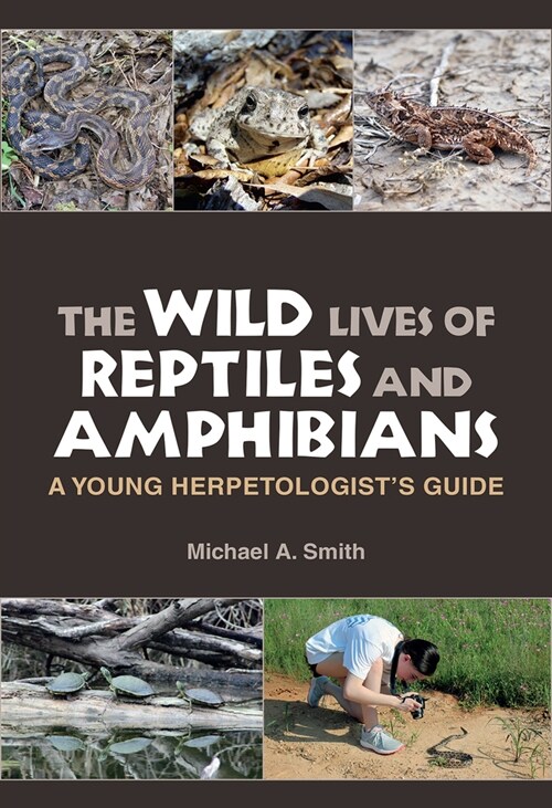 The Wild Lives of Reptiles and Amphibians: A Young Herpetologists Guide (Paperback)