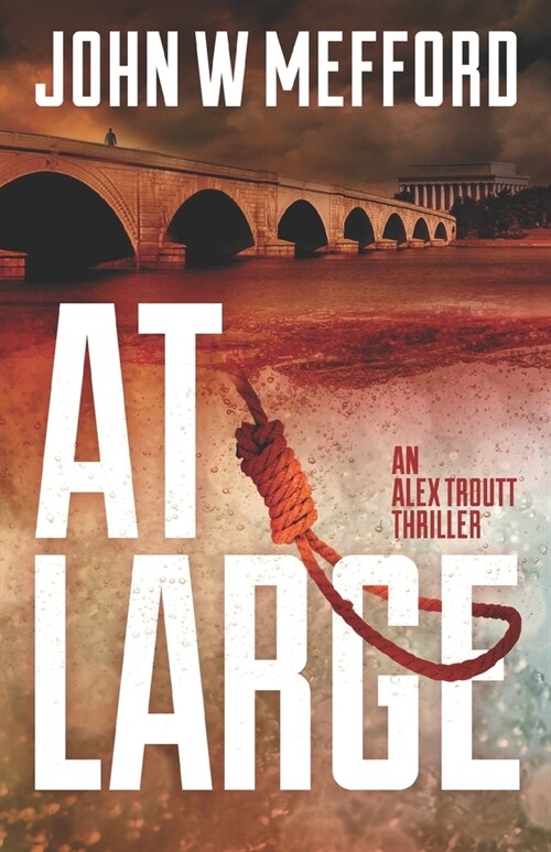 At Large (Paperback)