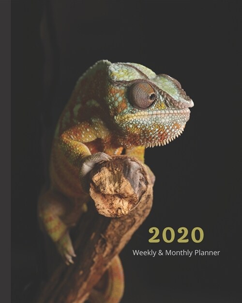 2020 Weekly & Monthly View Planner: Lizard Looks 8x10 (20.32cm X 25.4cm) 12-Month Notebook Calendar Schedule Organizer Jan 1, 2020 - Dec 31, 2020 (Paperback)