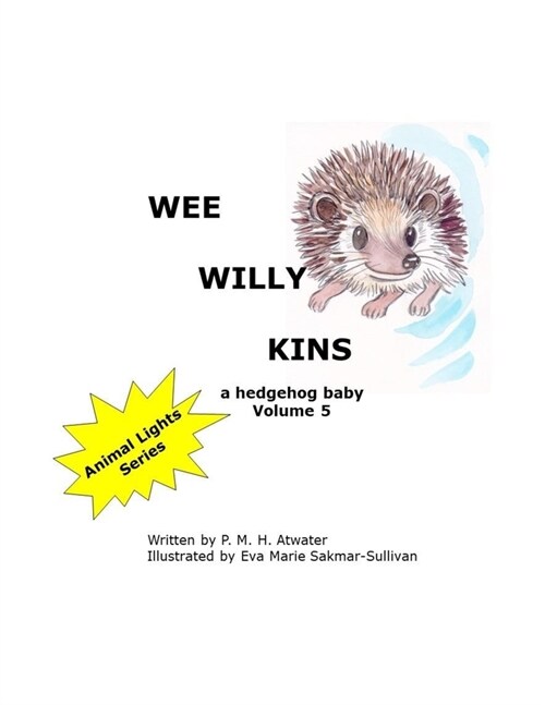 Wee Willy Kins (Paperback)