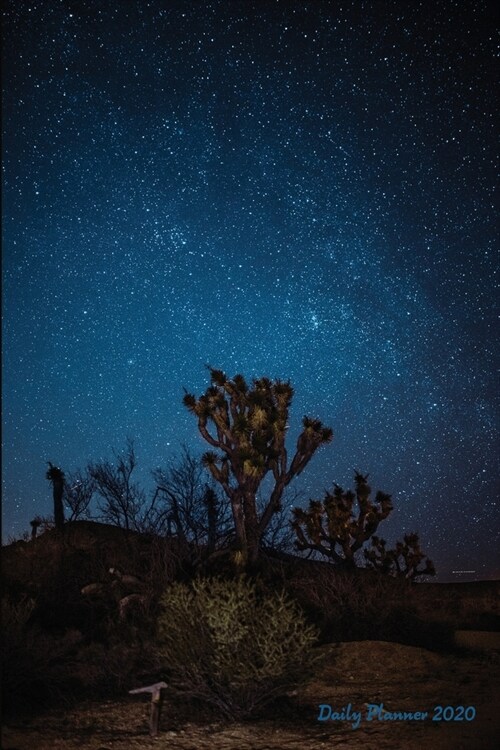 2020 Daily Planner: Joshua Trees At Night 2020 Daily Calendar With Goal Setting Section and Habit Tracking Pages, 6x9 (Paperback)