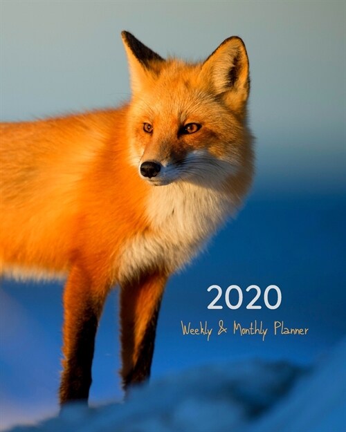 2020 Weekly & Monthly Planner: Fox In Winter 8x10 (20.32cm X 25.4cm) 12-Month Fill In Calendar Schedule Organizer Engagement Planner Jan 1, 2020 - (Paperback)