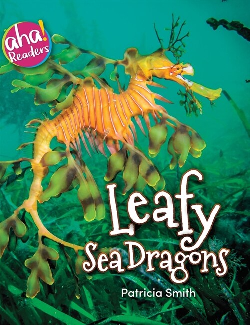 Leafy Sea Dragons (Hardcover)