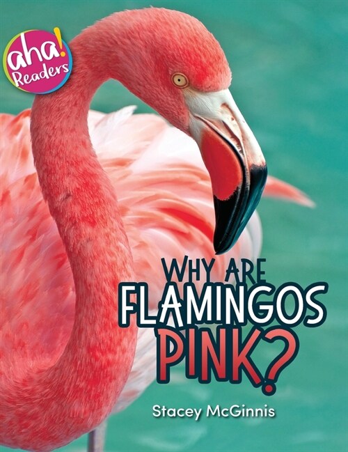 Why Are Flamingos Pink? (Hardcover)