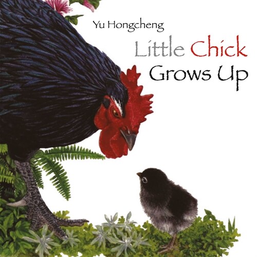 Little Chick Grows Up (Hardcover)