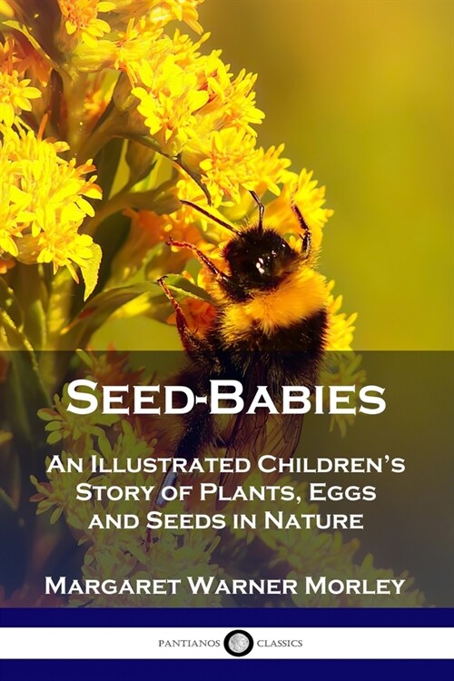 Seed-Babies: An Illustrated Childrens Story of Plants, Eggs and Seeds in Nature (Paperback)