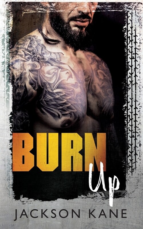 Burn Up (Paperback)