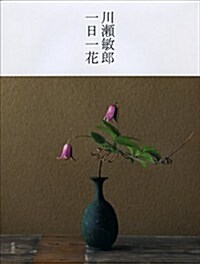 [중고] 川瀨敏郞 一日一花 (單行本)