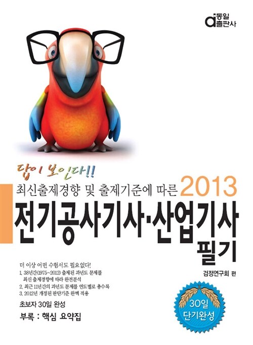 2013 답이 보인다! 전기공사기사.산업기사 필기