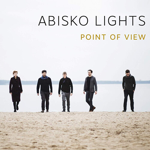[중고] [수입] Abisko Lights - Point Of View