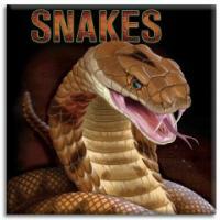 Snakes (Hardcover, Pop-Up)