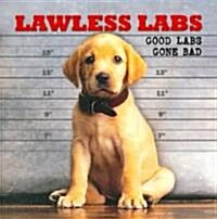 Lawless Labs (Hardcover)