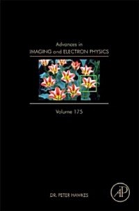 Advances in Imaging and Electron Physics: Volume 175 (Hardcover)