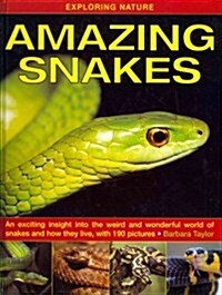 Exploring Nature: Amazing Snakes : an Exciting Insight into the Weird and Wonderful World of Snakes and How They Live, with 190 Pictures (Hardcover)