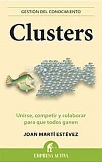 Clusters: Estrategias Ganadoras y Trabajo en Equipo (Paperback)