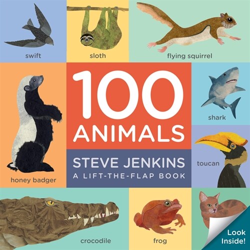 100 Animals Board Book: Lift-The-Flap (Board Books)