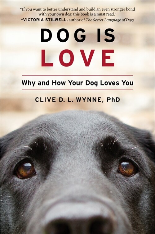 [중고] Dog Is Love: Why and How Your Dog Loves You (Paperback)