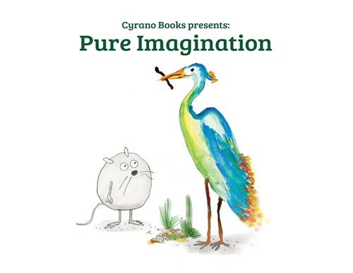 Pure Imagination (Paperback)
