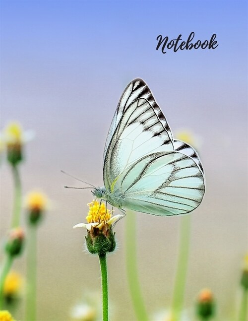 Notebook: Butterfly Notebook, Journal, Diary (110 Pages, Blank, 8.5 x 11 (Paperback)