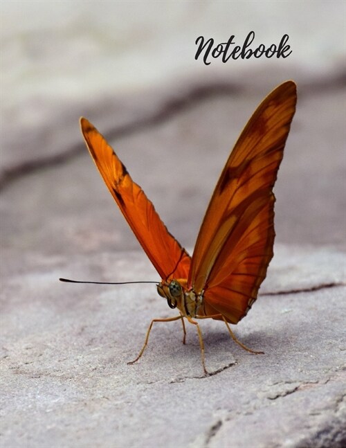 Notebook: Butterfly Notebook, Journal, Diary (110 Pages, Blank, 8.5 x 11) (Paperback)