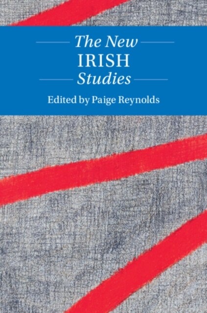 The New Irish Studies (Hardcover)