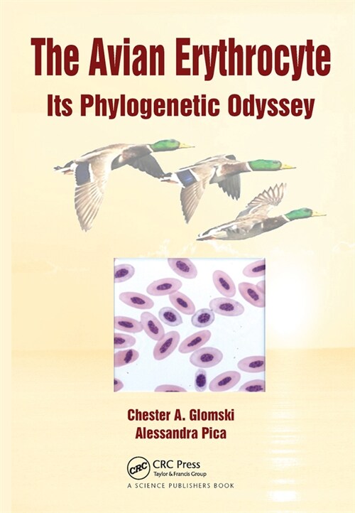 The Avian Erythrocyte : Its Phylogenetic Odyssey (Paperback)