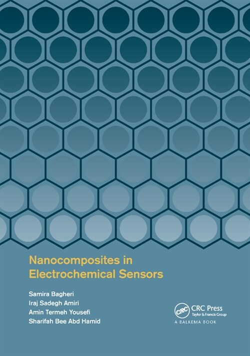 Nanocomposites in Electrochemical Sensors (Paperback, 1)