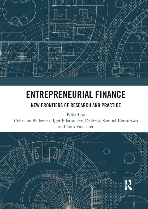 Entrepreneurial Finance : New Frontiers of Research and Practice (Paperback)