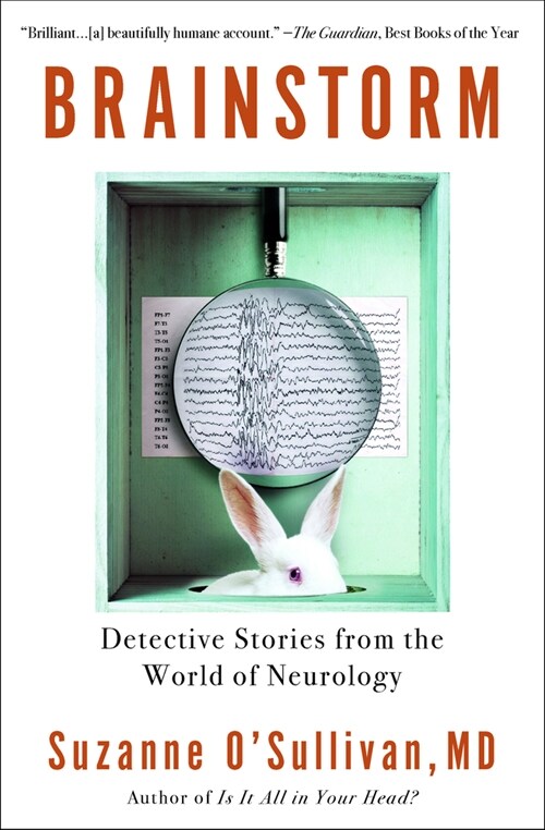 Brainstorm: Detective Stories from the World of Neurology (Paperback)