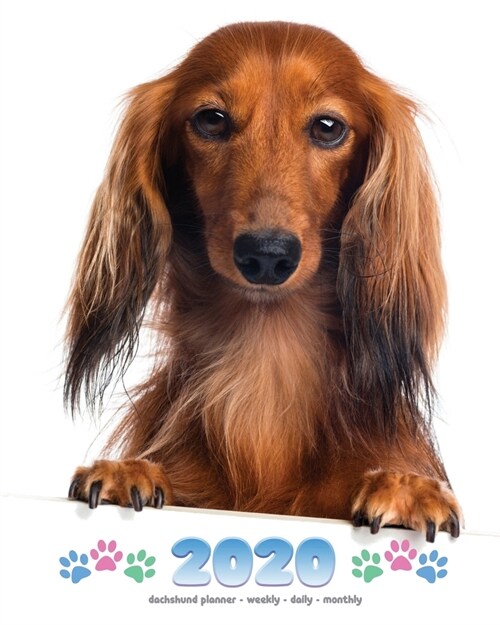 2020 Dachshund Planner - Weekly - Daily - Monthly (Paperback)