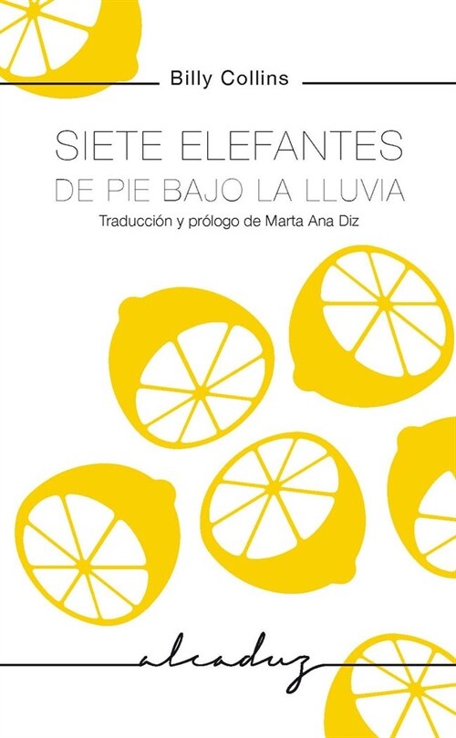 SIETE ELEFANTES DE PIE BAJO LA LLUVIA (Paperback)
