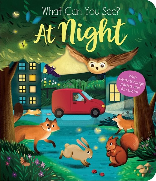 What Can You See? at Night: With Peek-Through Pages and Fun Facts! (Board Books)