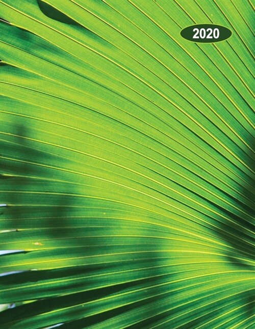 Low Vision Large Print 2020 Monthly & Weekly Planner Day-Month-Year: Calendar with Bold Lines on White Paper for Visually Impaired Palm Frond Cover (Paperback)