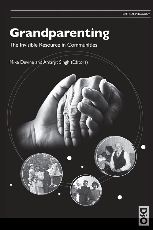 Grandparenting: The Invisible Resource in Communities (Paperback)