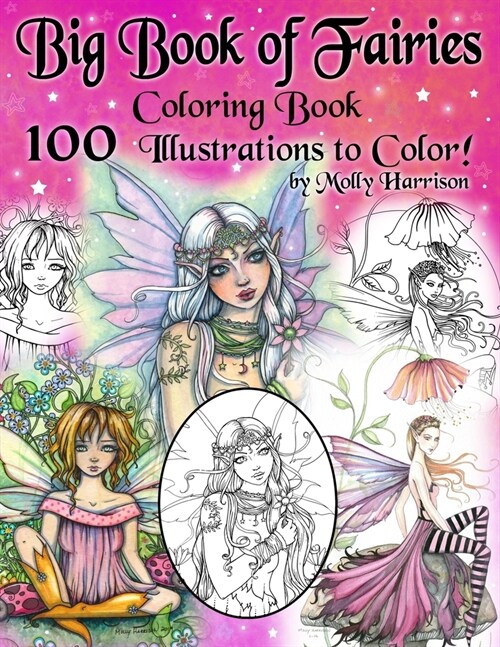 Big Book of Fairies Coloring Book - 100 Pages of Flower Fairies, Celestial Fairies, and Fairies with their Companions: 100 Line Art Illustrations to C (Paperback)