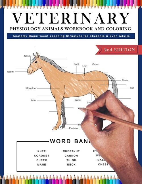 Veterinary Physiology Animals Workbook and Coloring Anatomy Magnificent Learning Structure for Students & Even Adults (Paperback)