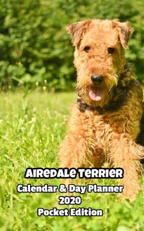 Airedale Terrier Calendar & Day Planner 2020 Pocket Edition (Paperback)